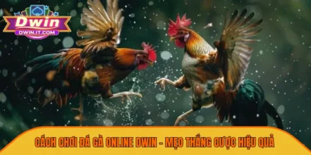Cách chơi đá gà online dwin